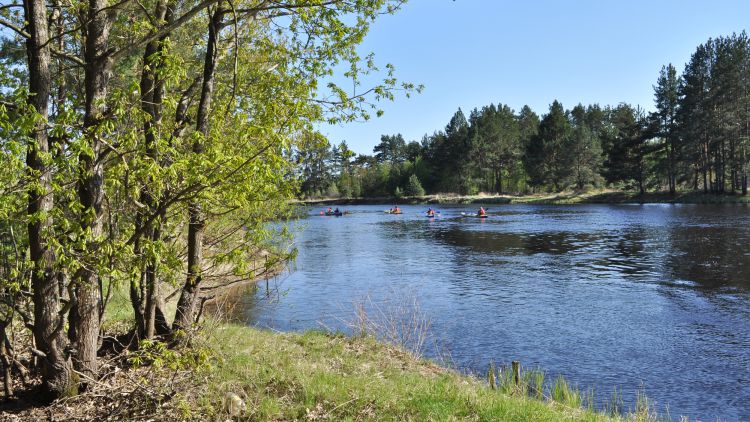 Blauer Himmel, grüne Sträucher, ein Fluss