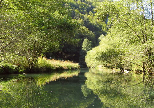 Bild Fluss Kanus